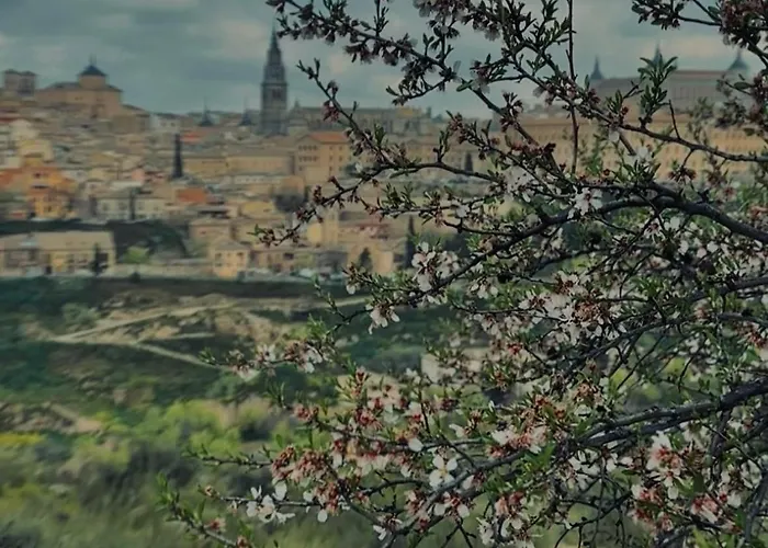 Near The Cathedral Lacuevitadeleo Appartement